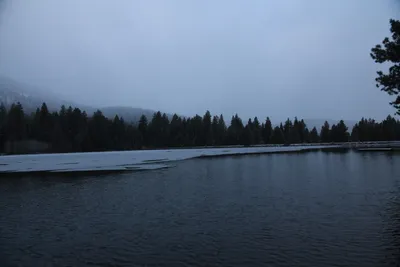 DSC_5812 (Large).JPG